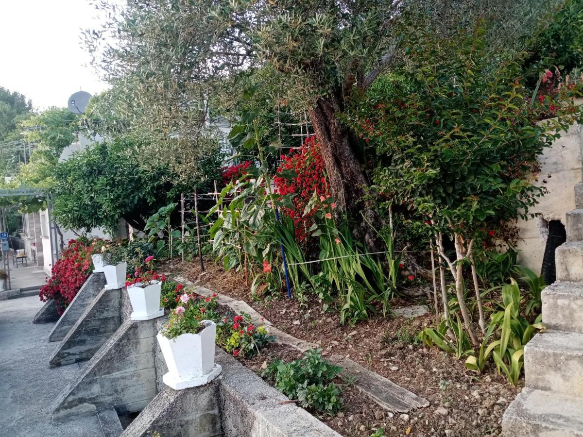 Apartmani Bosco Tivat Eksteriør bilde