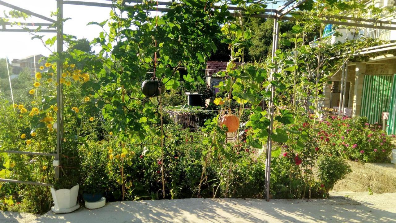 Apartmani Bosco Tivat Eksteriør bilde