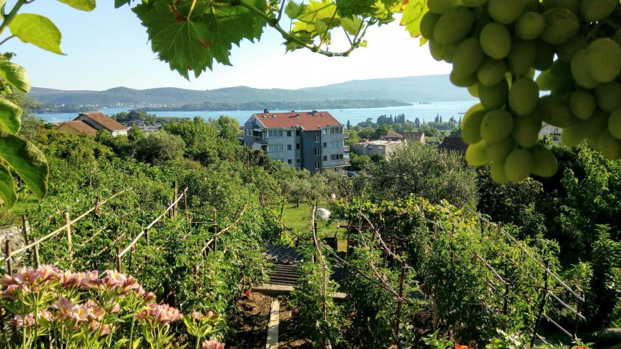 Apartmani Bosco Tivat Eksteriør bilde