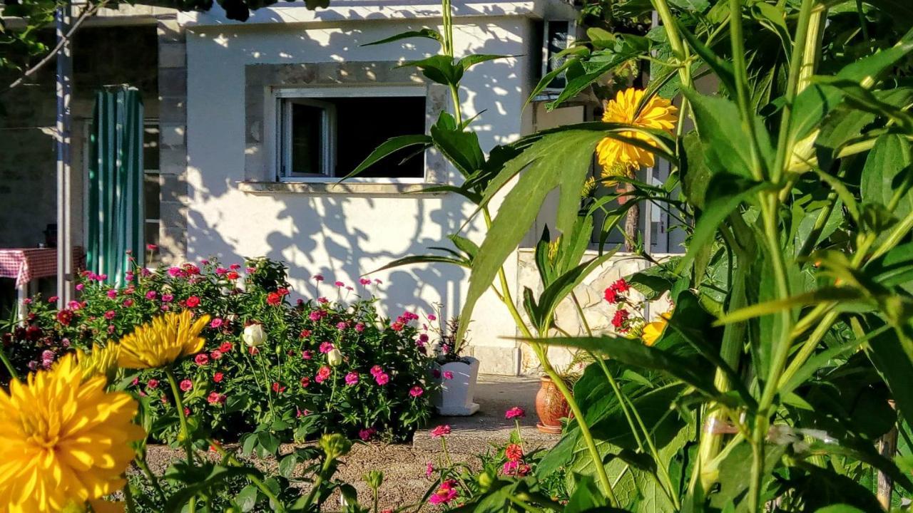 Apartmani Bosco Tivat Eksteriør bilde
