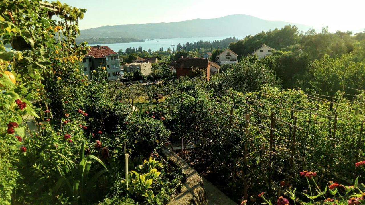 Apartmani Bosco Tivat Eksteriør bilde