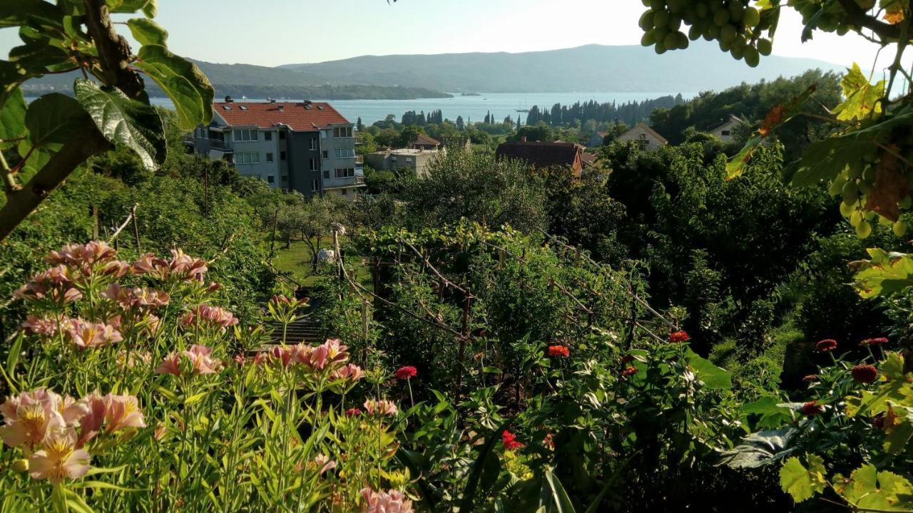 Apartmani Bosco Tivat Eksteriør bilde