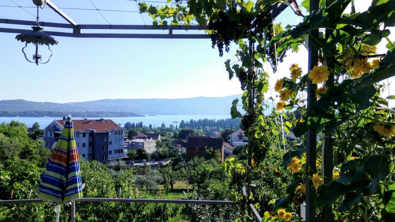 Apartmani Bosco Tivat Eksteriør bilde