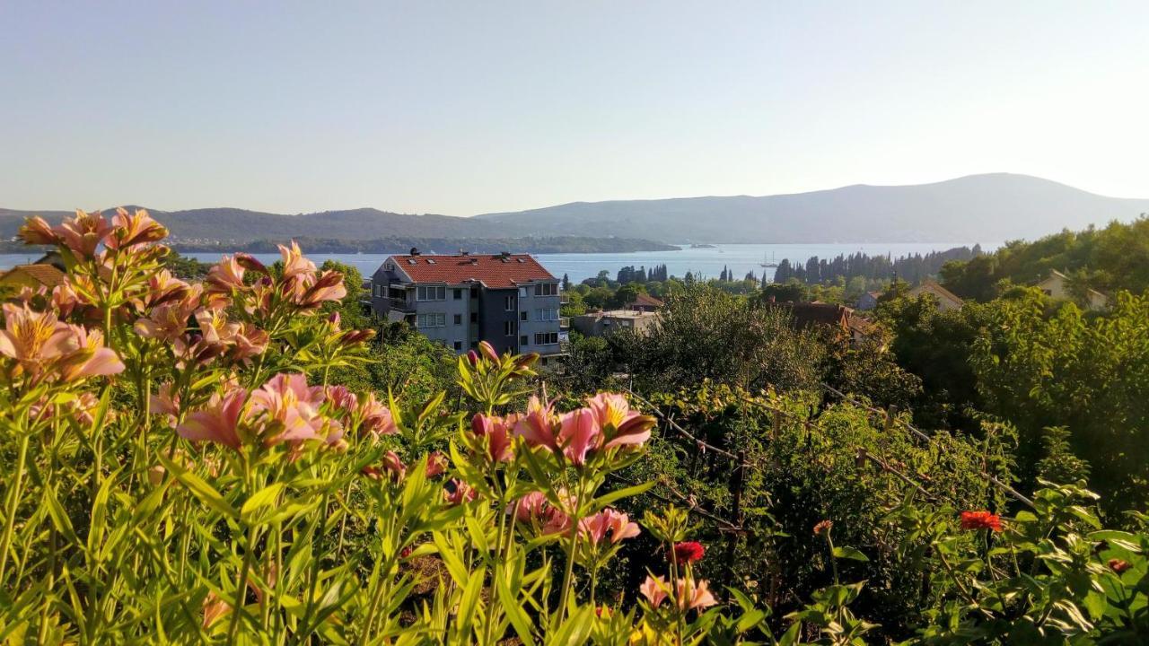 Apartmani Bosco Tivat Eksteriør bilde