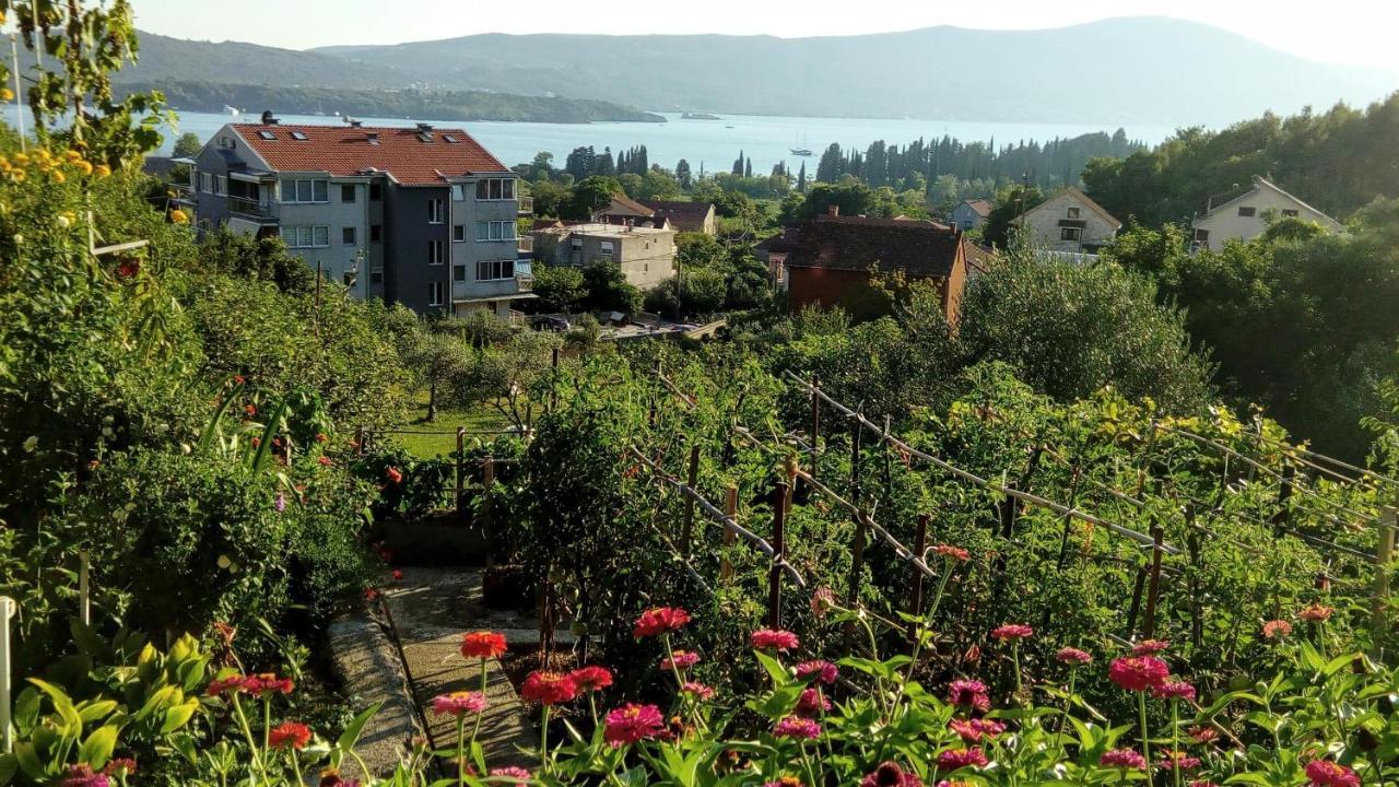 Apartmani Bosco Tivat Eksteriør bilde